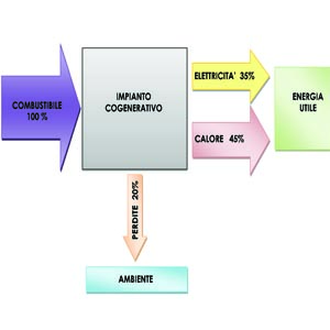microcogenerazione, energie rinnovabili
